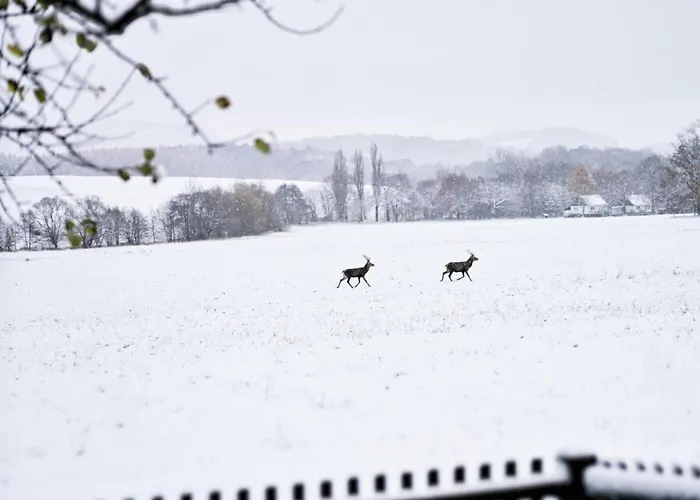 Apartment Wiesenhaeusel *